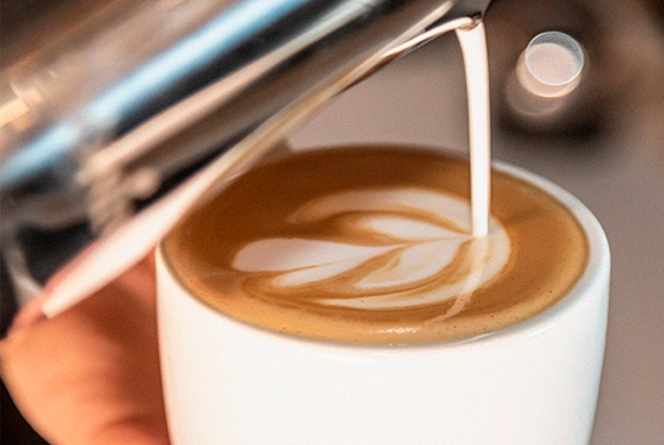 Centro Ciencia Do Café  